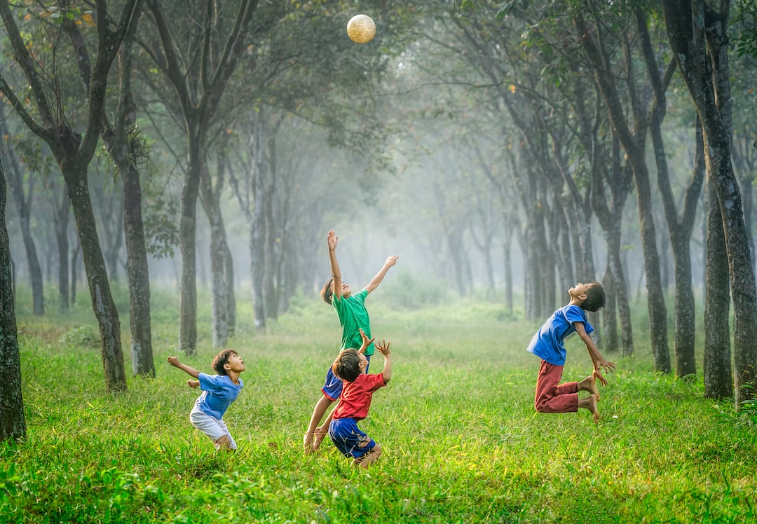 Children playing with a ball in a forest.