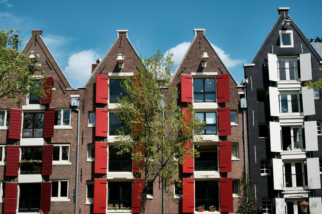 A row of buildings with red shutters.