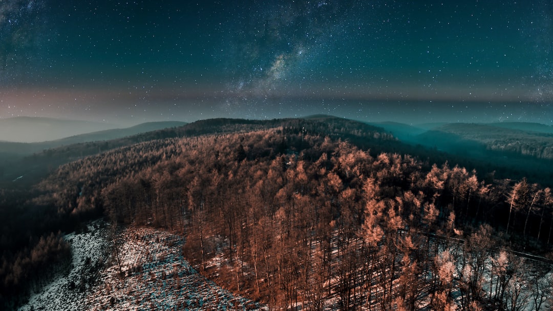 An aerial view of a forest at night with the milky way in the background.