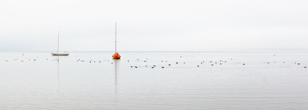 A group of sailboats anchored in the water on a foggy day.