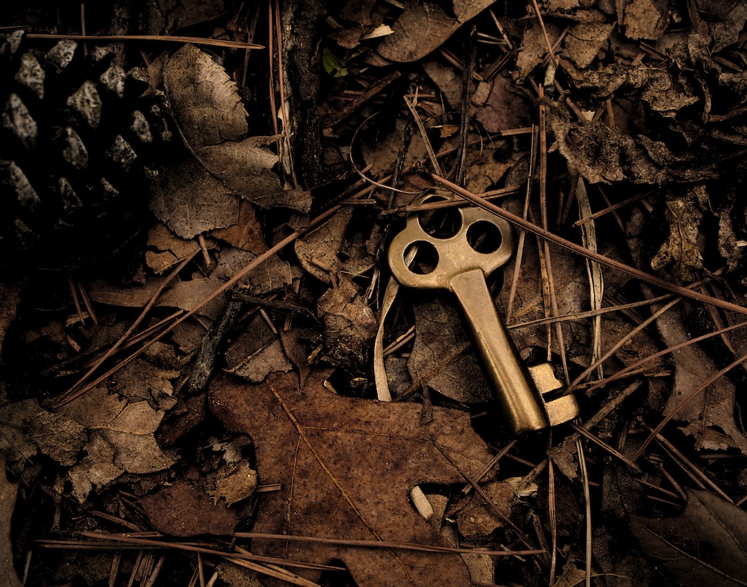 A golden key laying on the ground with pine cones.