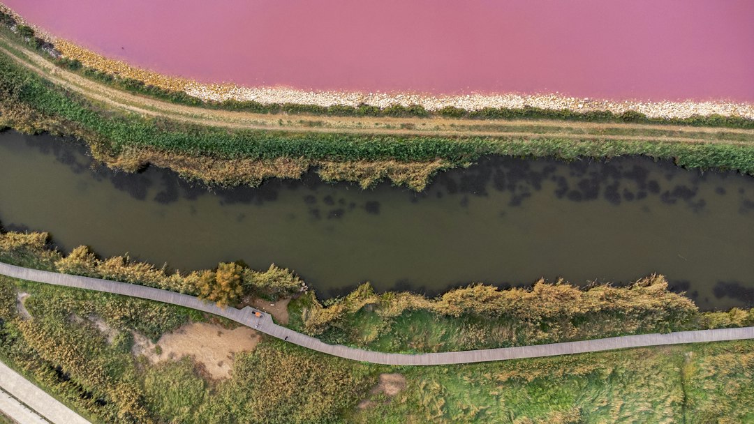 An aerial view of a pink lake.